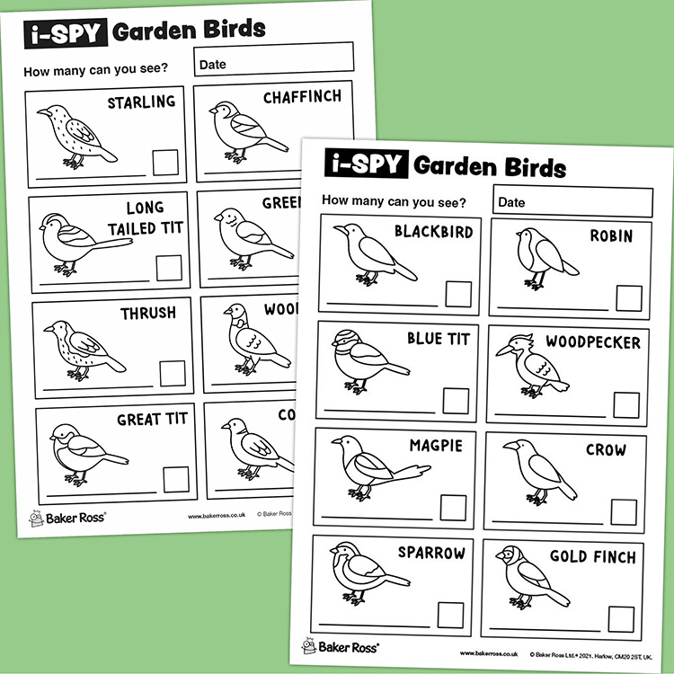 i-Spy Garden Birds