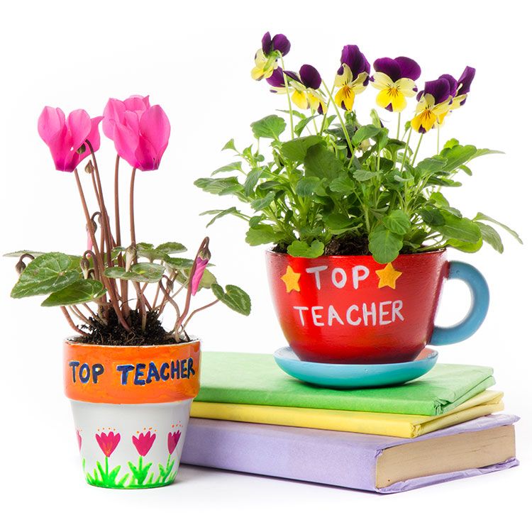 Teacher Flower Planters