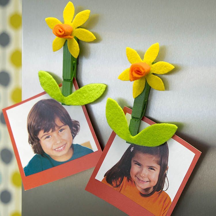 Daffodil Photo Magnet