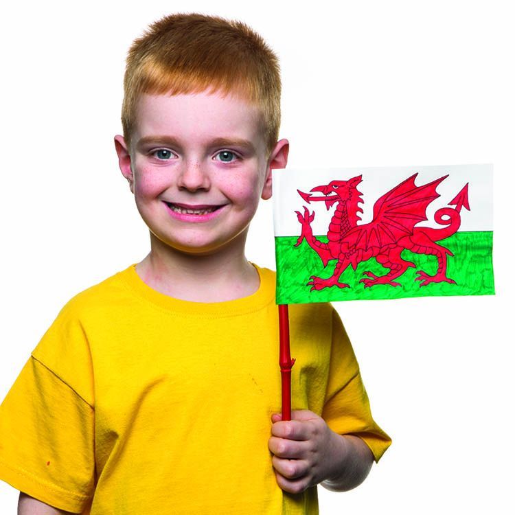 Welsh Dragon Flag