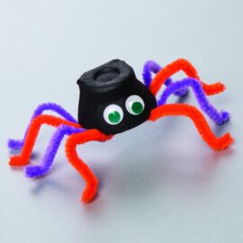 Creepy Crawly Spider