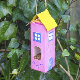 Carton Bird Feeder