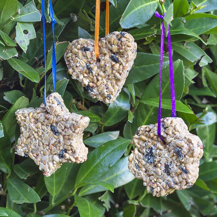 Homemade Bird Seed Feeders