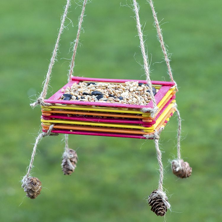 Pop Stick Bird Feeder