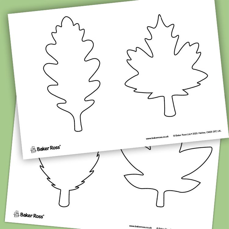 Leaf Shapes