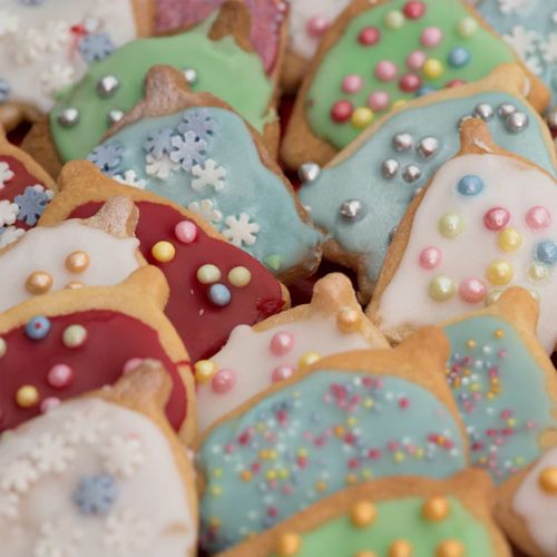 Shaped Iced Biscuits