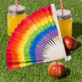 Rainbow Fan