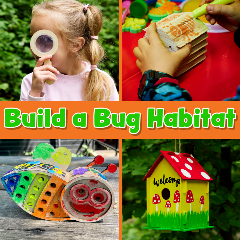 Bug Hotels for Kids