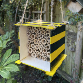 Bumble Bee Hotel