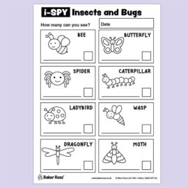 i-Spy Insects and Bugs