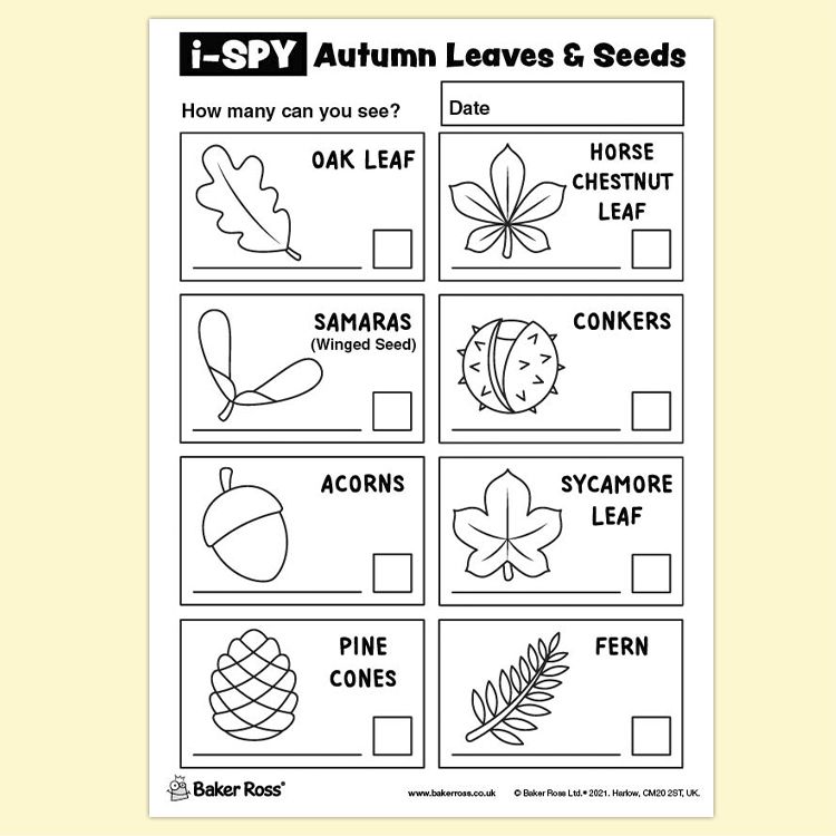 i-Spy Printables – Autumn Leaves & Seeds