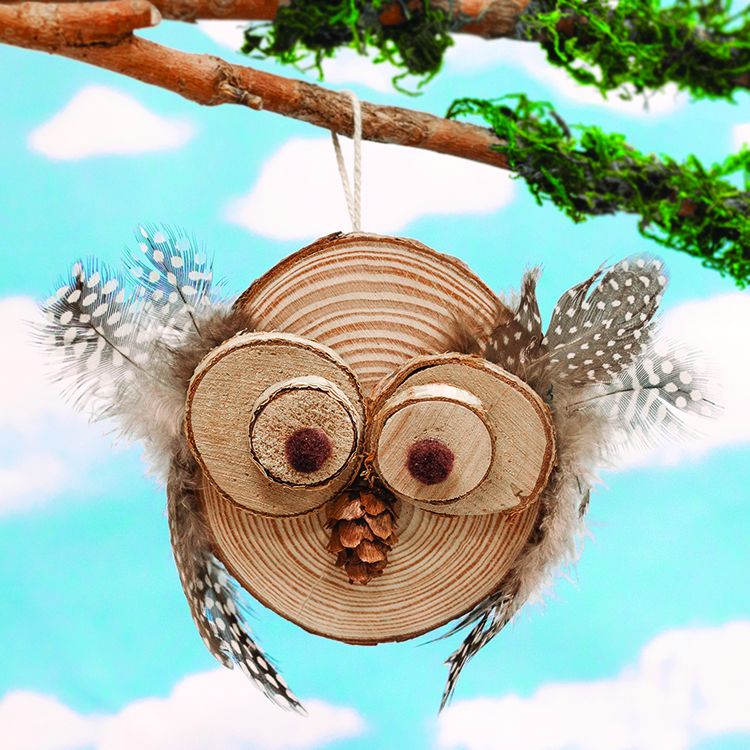 Log Slice Owl