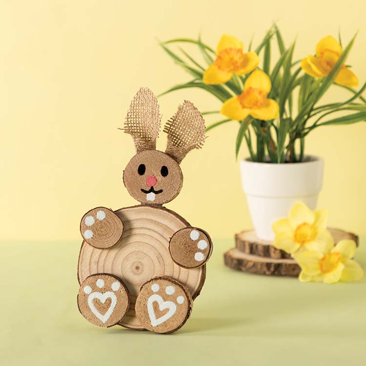 Log Slice Bunny