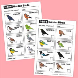 i-Spy Garden Birds (Coloured)