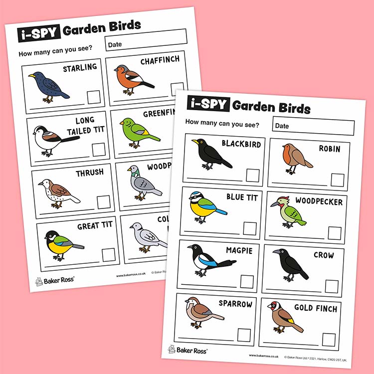 i-Spy Garden Birds (Coloured)