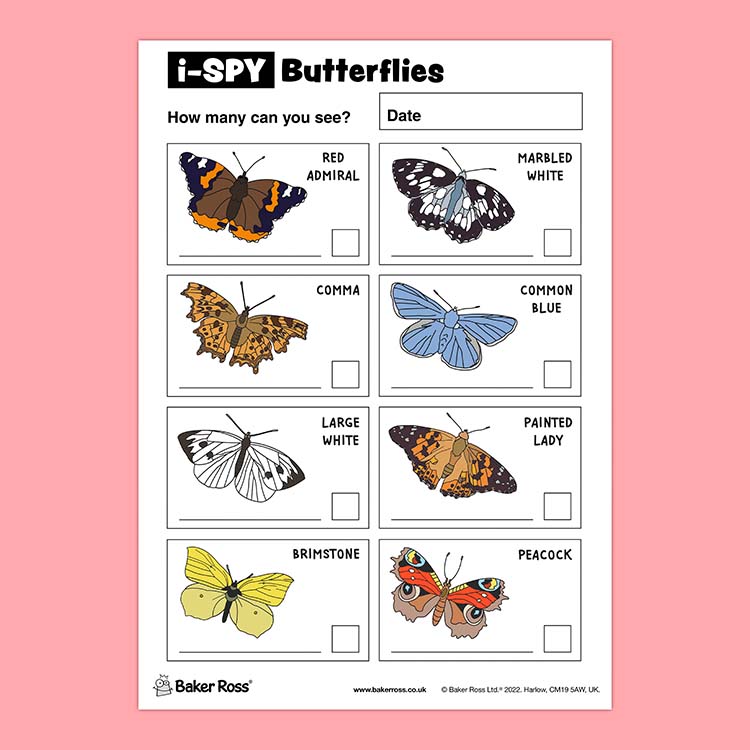 i-Spy Butterflies (Coloured)