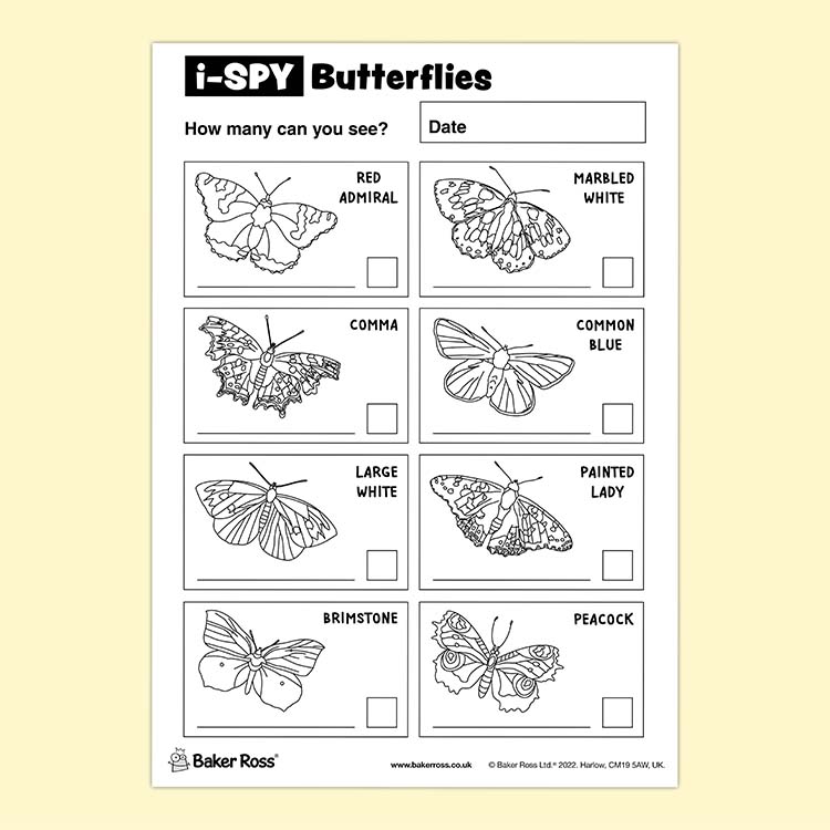 i-Spy Butterflies