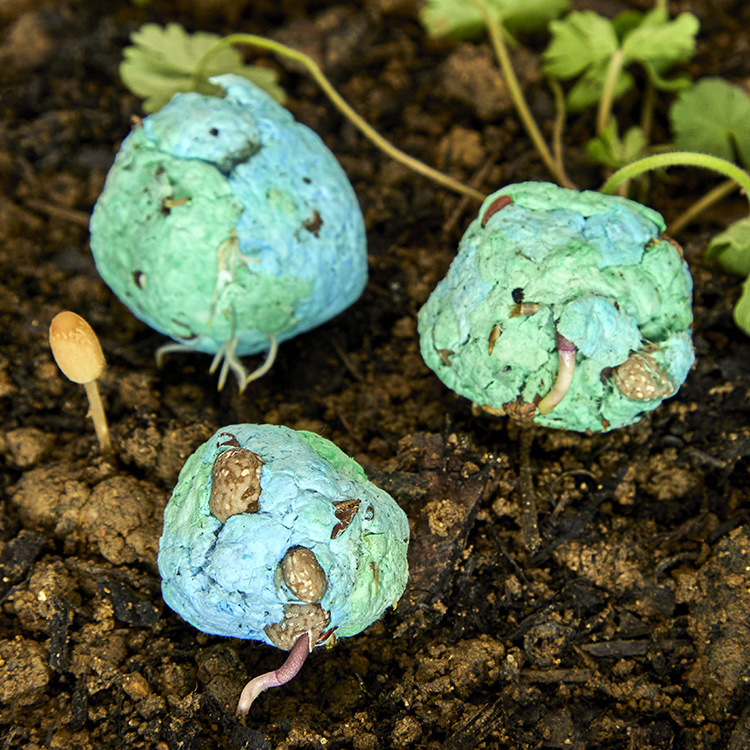 Planet Earth Seed Balls