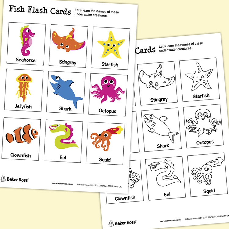 Under The Sea Flash Cards