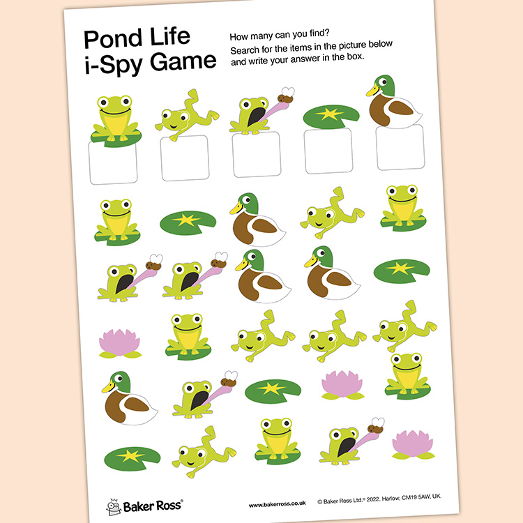 i-Spy Pond Life Game