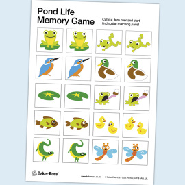 Pond Life Memory Game