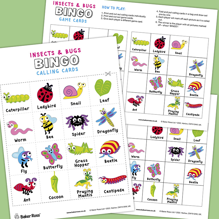 Insects & Bugs Bingo