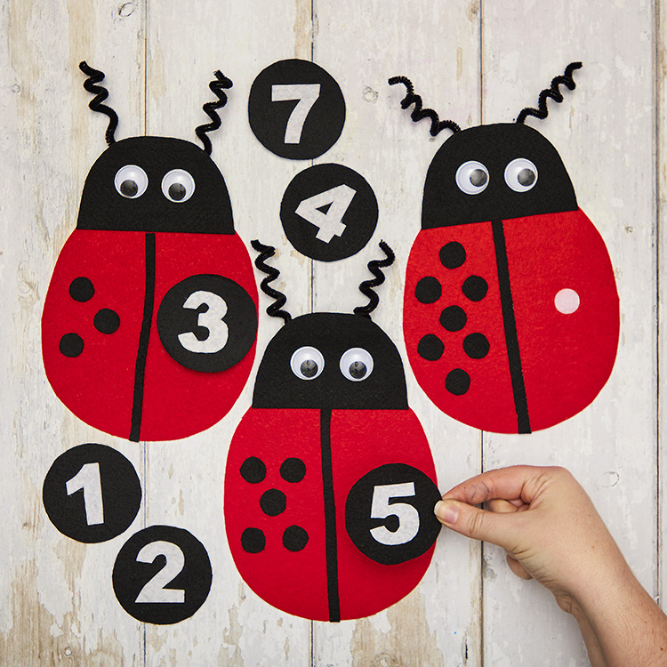 Ladybird Counting