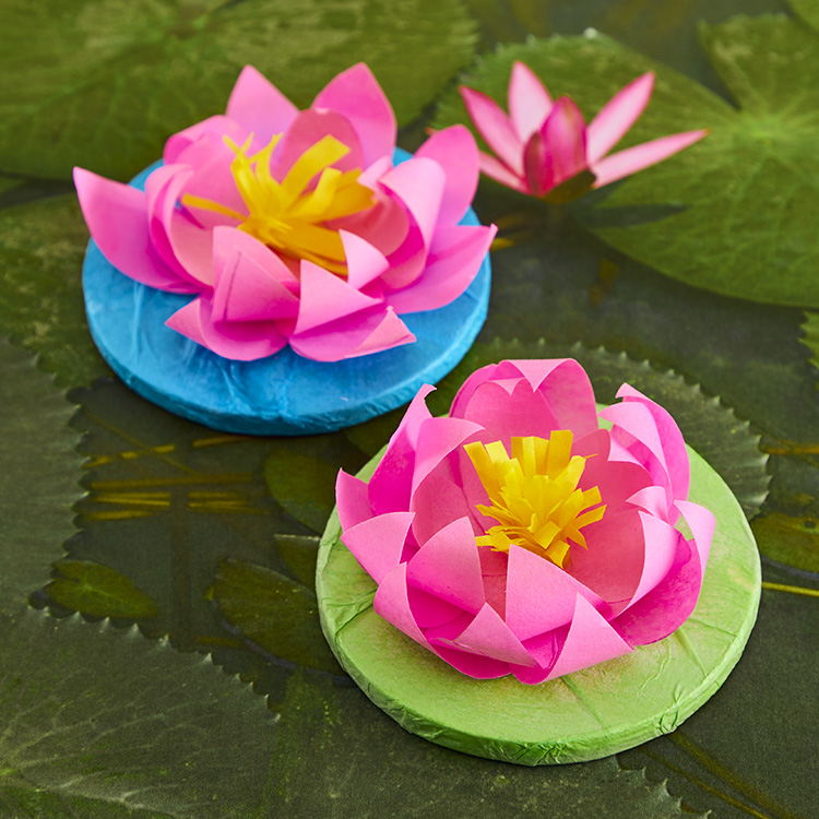 Tissue Lotus Flowers