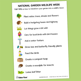 National Garden Wildlife Week Top Tips