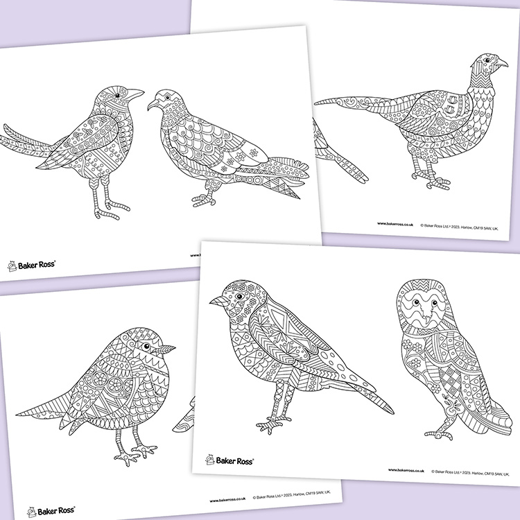 Birds Mindfulness Colouring Pictures