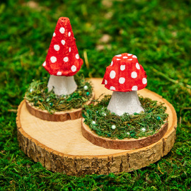 Egg Box Toadstools