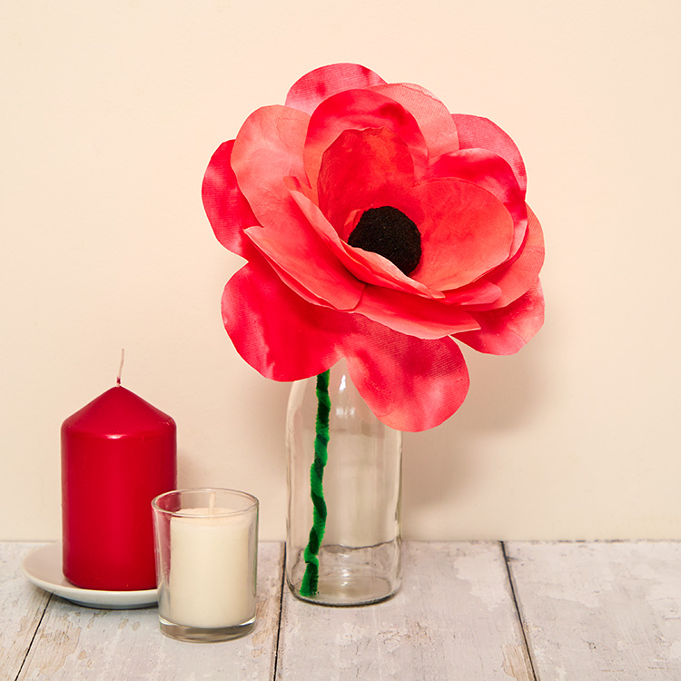 Diffusing Paper Poppies