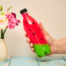 Watermelon Sensory Bottle