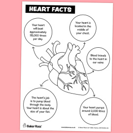 Heart Facts Poster