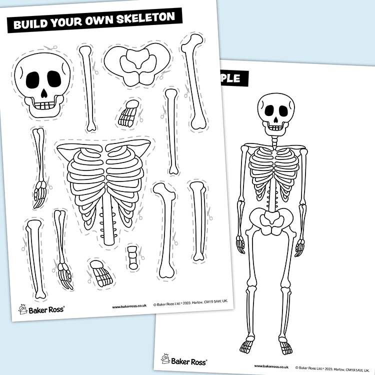 Build A Skeleton