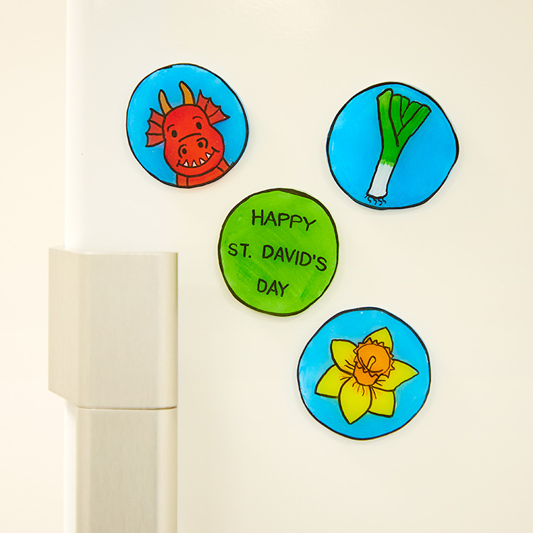 St Davids Day Leek and Daffodil Magnets