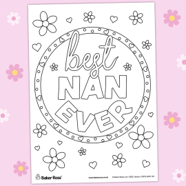 Best Nan Poster