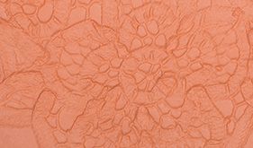 Decorative Lace Print Plate