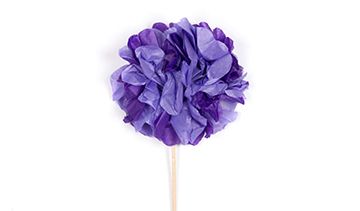 Tissue Pom Pom Cupcake Topper