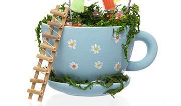 Fairy Teacup Garden