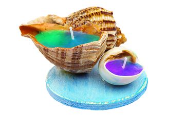 Seashell Candles