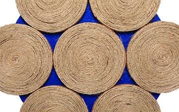 Barbeque Place Mats