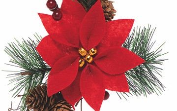 Rattan Poinsettia Wreath