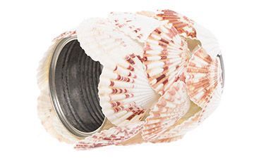 Scallop Shell Can Cosmetic Holder