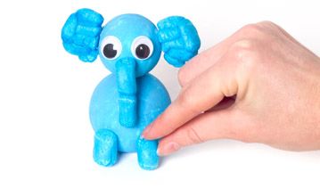 Animal Models