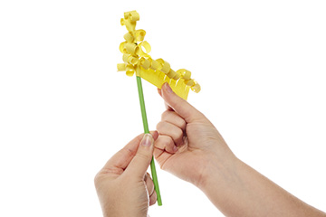 Paper Hyacinths