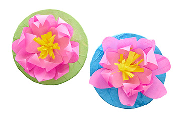 Tissue Lotus Flowers