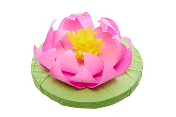 Tissue Lotus Flowers