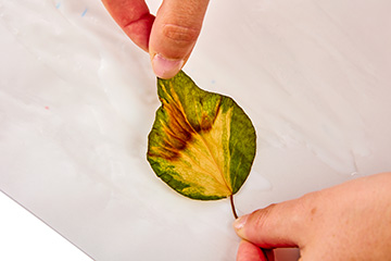 Autumn Leaf Lantern