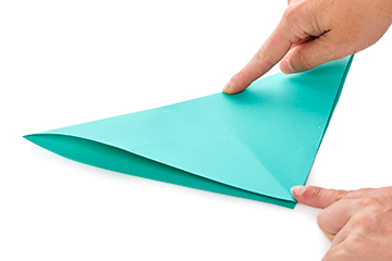Origami Crane
